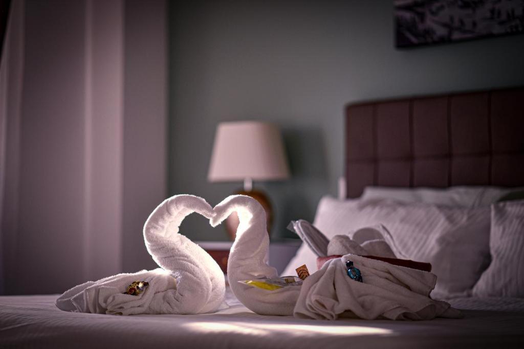 B&B Carpe Diem Grottaferrata Zewnętrze zdjęcie